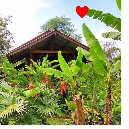 Pencave Homestay Pang Mapha Dış mekan fotoğraf
