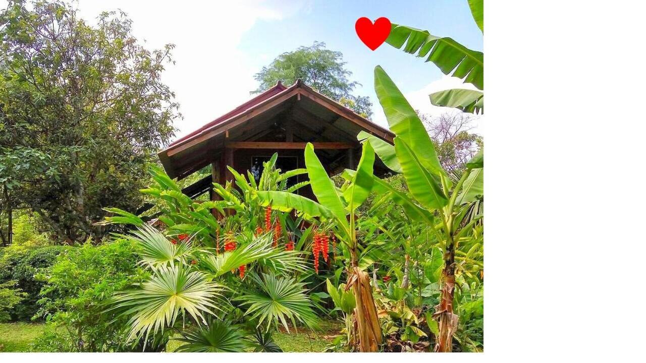 Pencave Homestay Pang Mapha Dış mekan fotoğraf