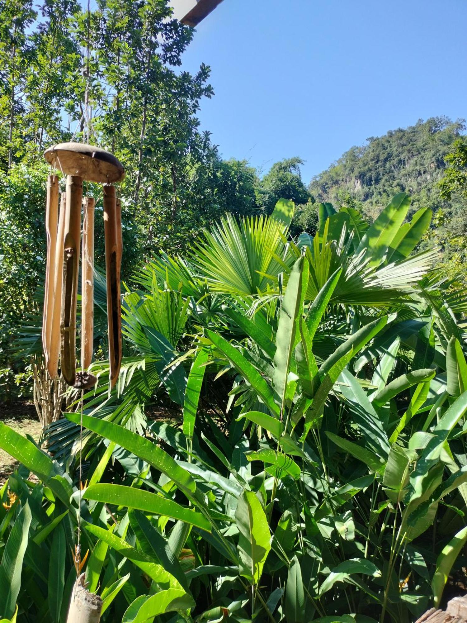 Pencave Homestay Pang Mapha Oda fotoğraf